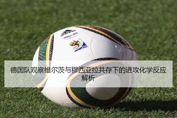 德国队观察维尔茨与穆西亚拉共存下的进攻化学反应解析